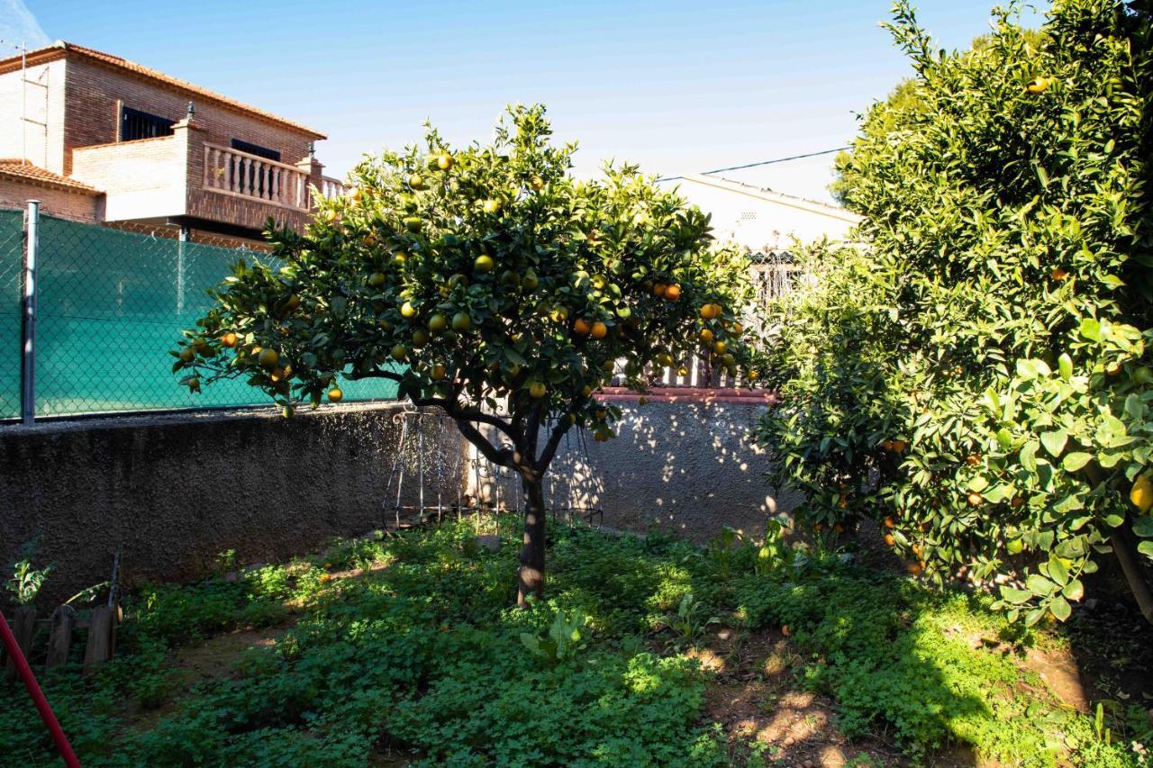 فيلا Florit Flats - The Orange Lemon Tree House لا إليانا المظهر الخارجي الصورة